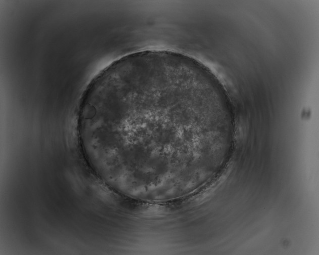 X0000102831263200809021305