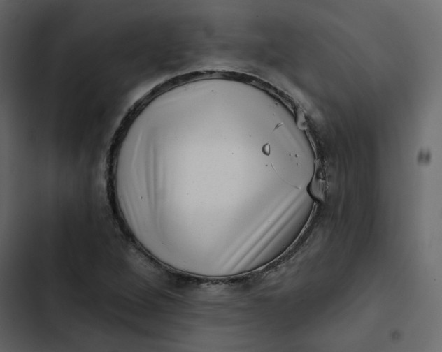 X0000102831264200809021305