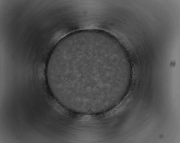 X0000102831265200809021305