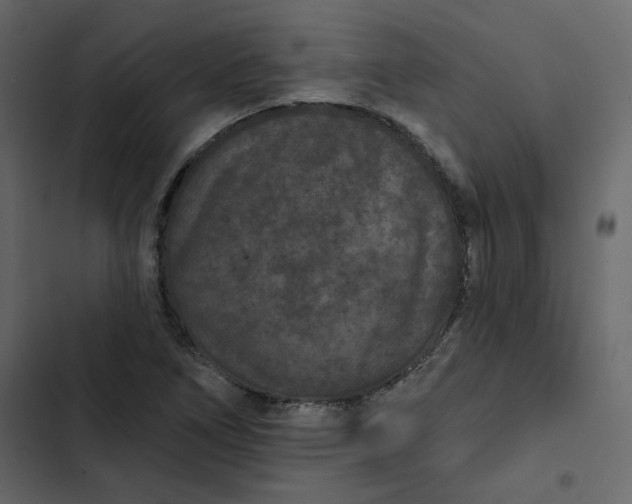 X0000102831266200809021305