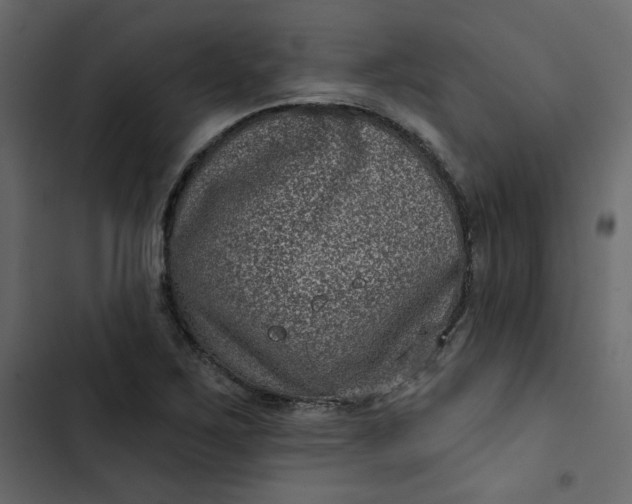 X0000102831267200809021305