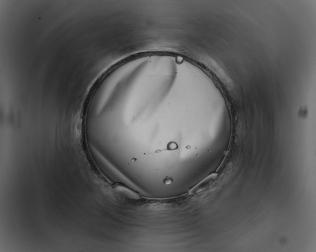 X0000102831268200809021305