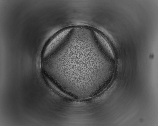 X0000102831269200809021305