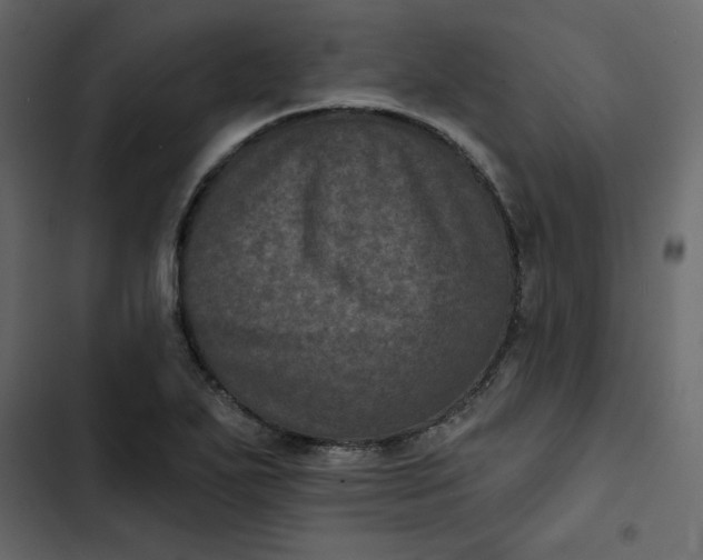 X0000102831271200809021305