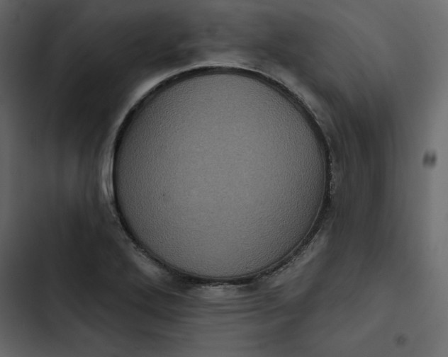 X0000102831272200809021305