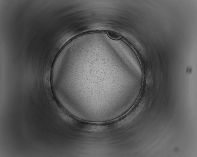 X0000102831273200809021305