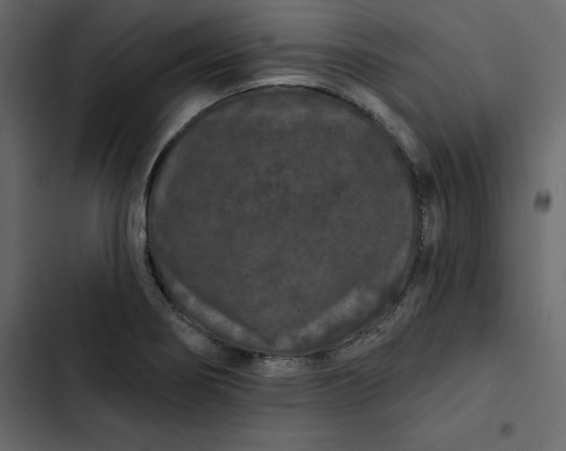 X0000102831274200809021305