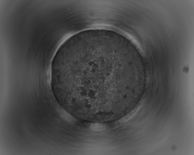 X0000102831275200809021305