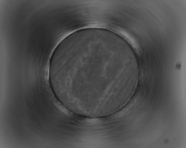 X0000102831276200809021305