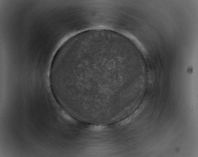 X0000102831278200809021305