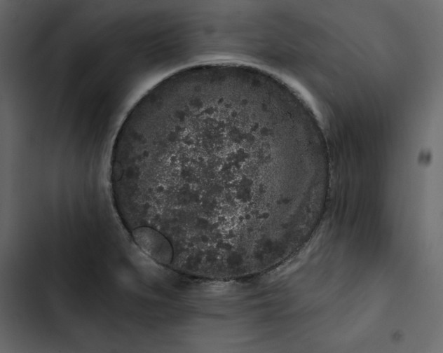 X0000102831279200809021305