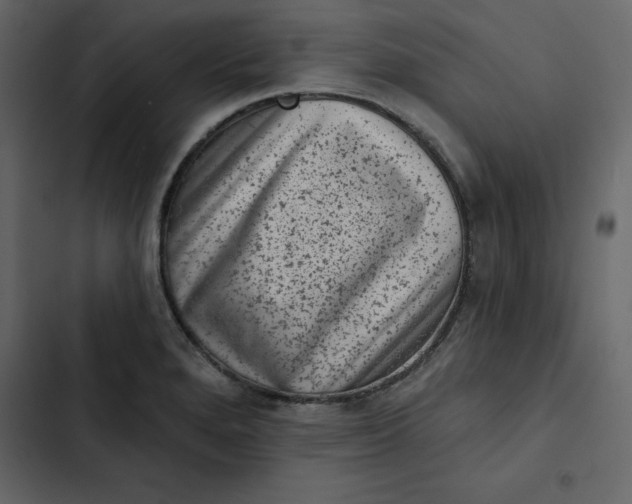 X0000102831280200809021305