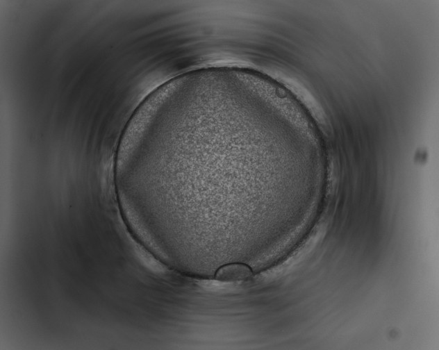 X0000102831281200809021305