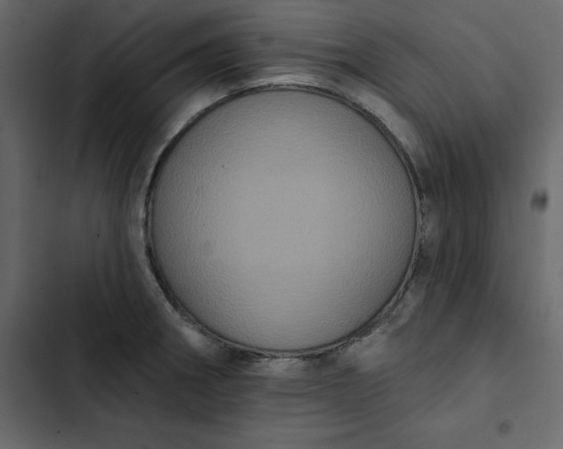 X0000102831282200809021305