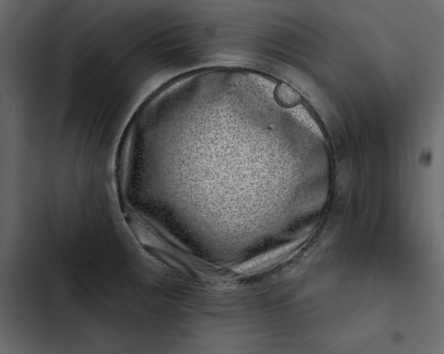 X0000102831283200809021305