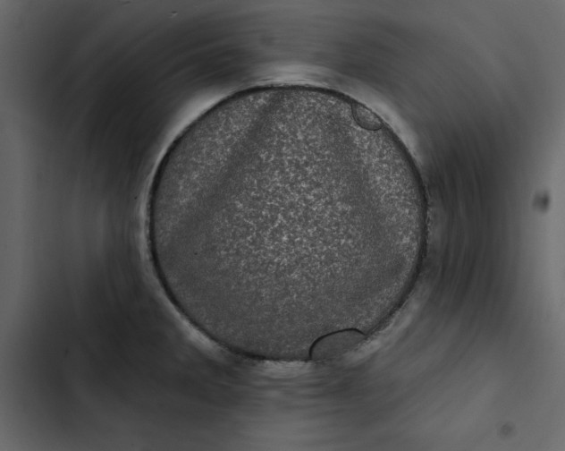 X0000102831285200809021305