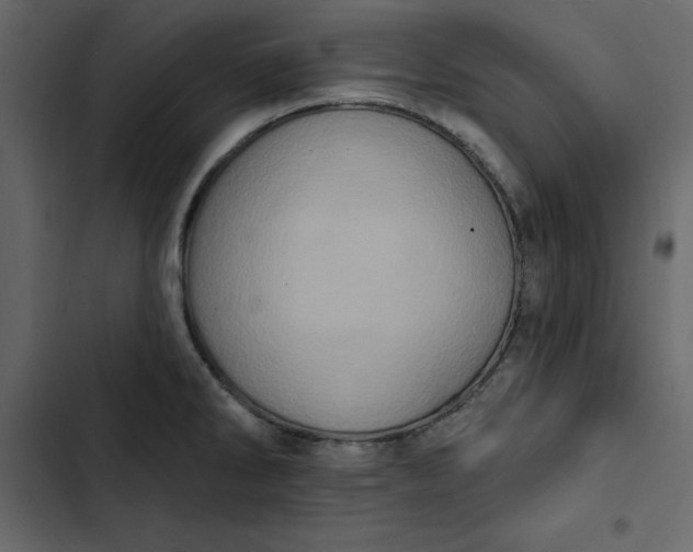 X0000102831286200809021305