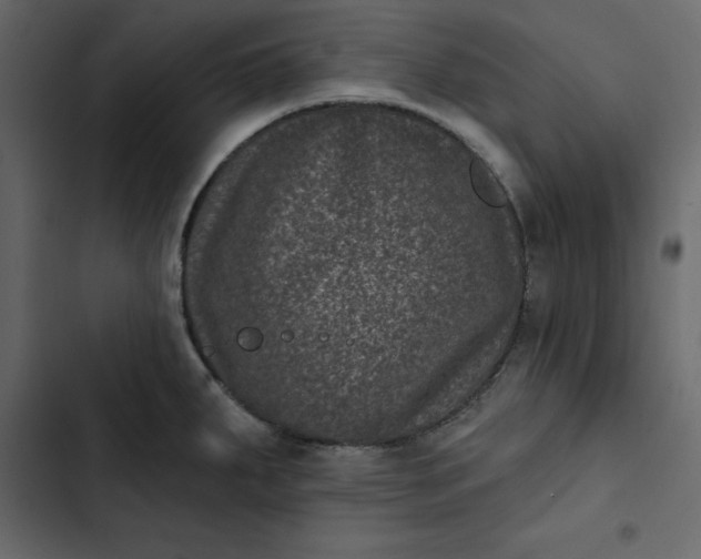 X0000102831287200809021305