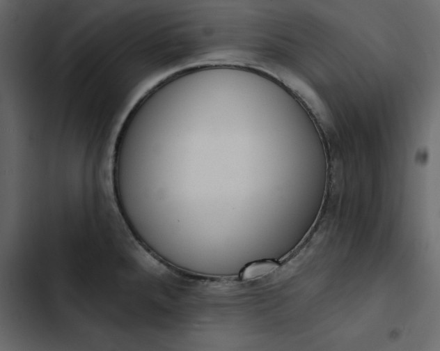 X0000102831288200809021305