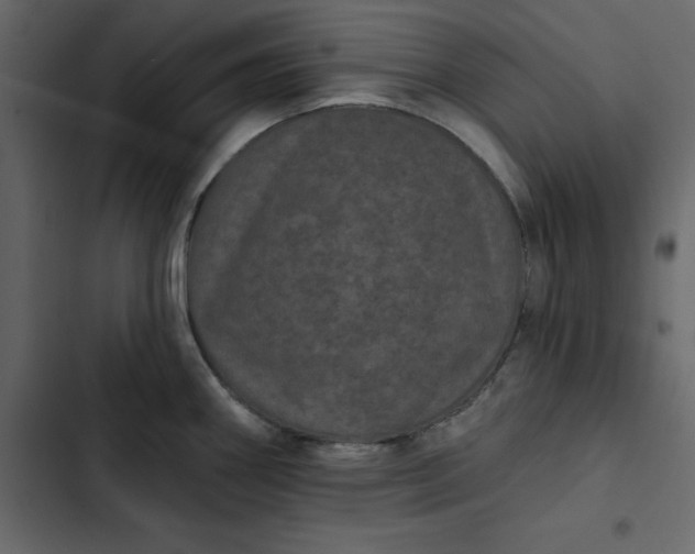 X0000102831290200809021305