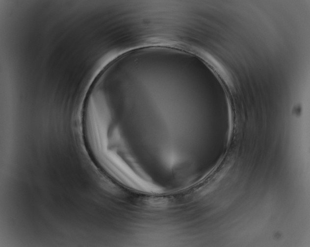 X0000102831291200809021305