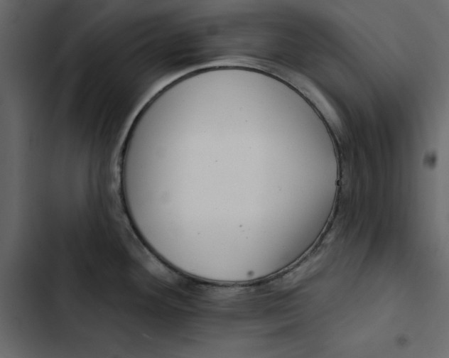 X0000102831292200809021305