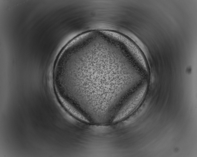 X0000102831293200809021305