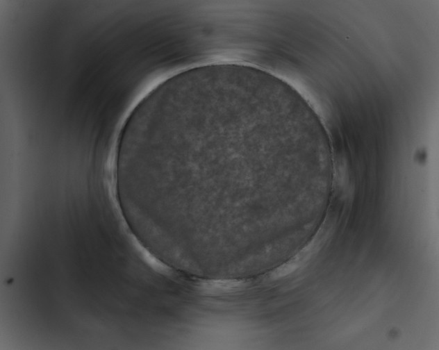 X0000102831294200809021305