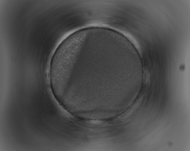 X0000102831295200809021305