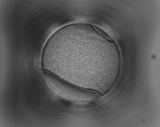 X0000102831296200809021305