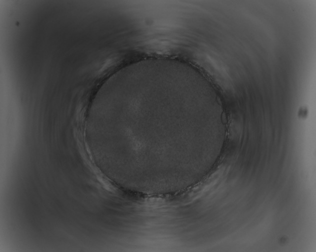 X0000102831297200809021304