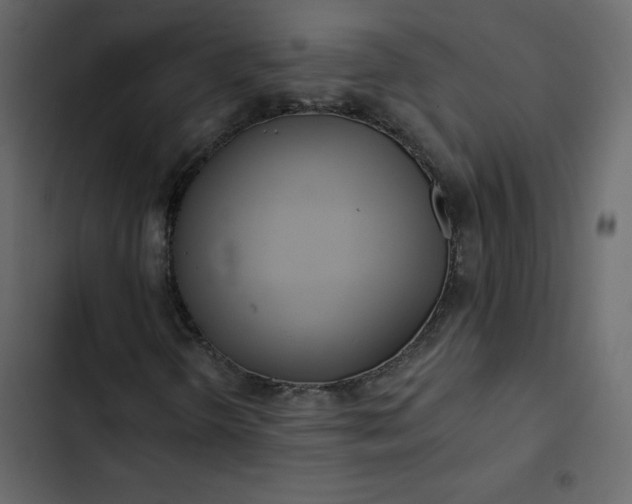 X0000102831298200809021304