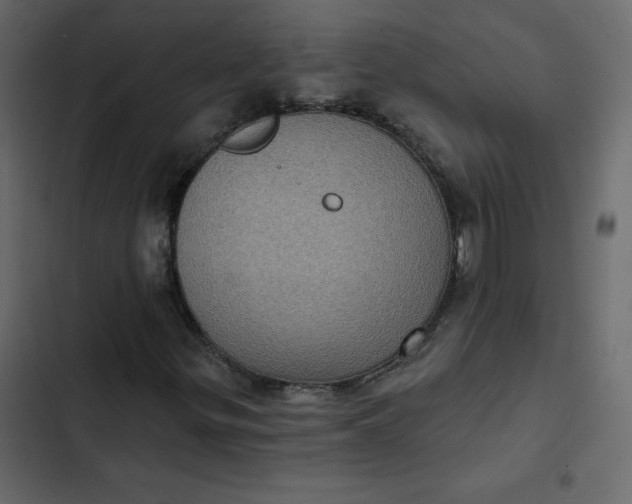 X0000102831299200809021304