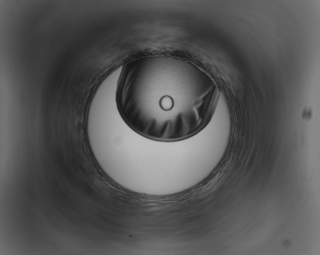 X0000102831300200809021304