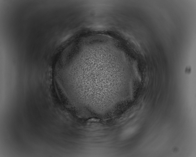 X0000102831301200809021304