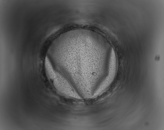 X0000102831302200809021304