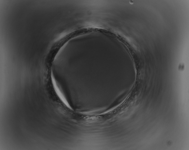 X0000102831303200809021304