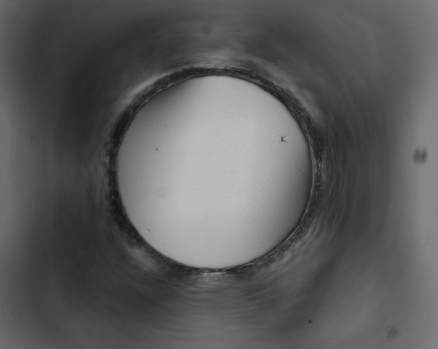 X0000102831304200809021304