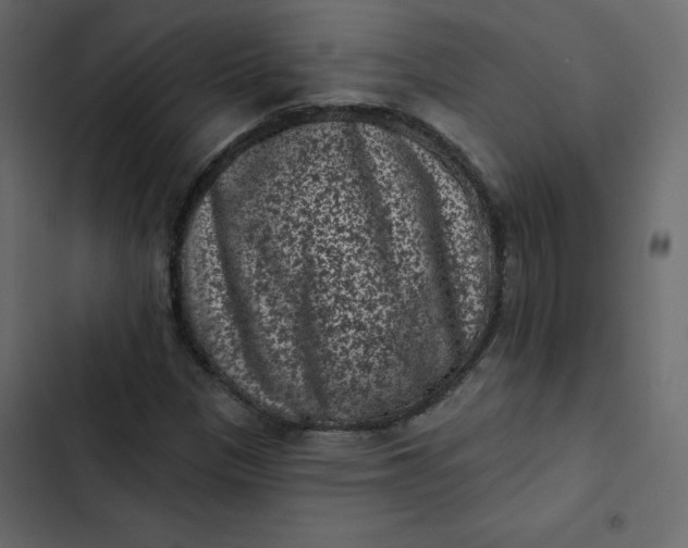 X0000102831305200809021304