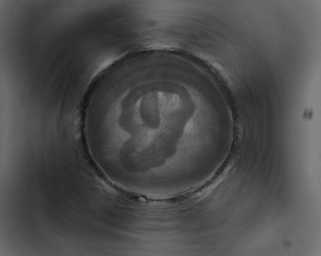 X0000102831306200809021304