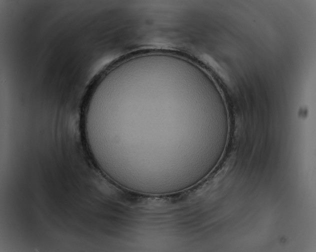 X0000102831307200809021304