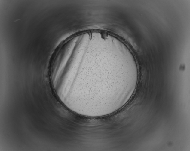 X0000102831308200809021304