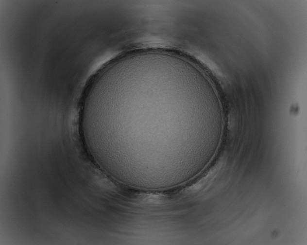 X0000102831309200809021304