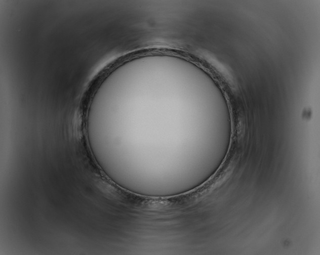 X0000102831310200809021304