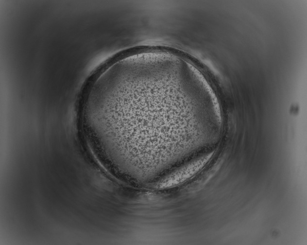 X0000102831311200809021304