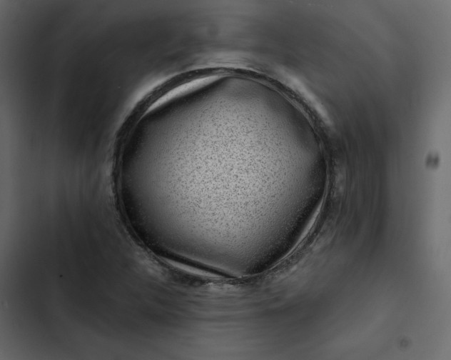 X0000102831312200809021304