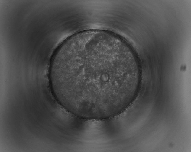 X0000102831314200809021304