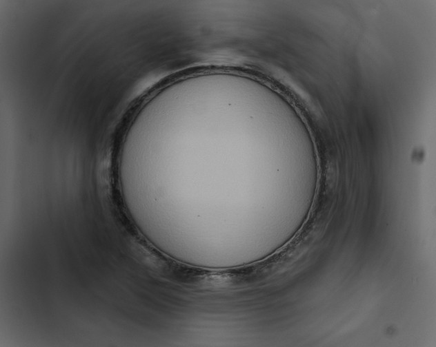 X0000102831315200809021304