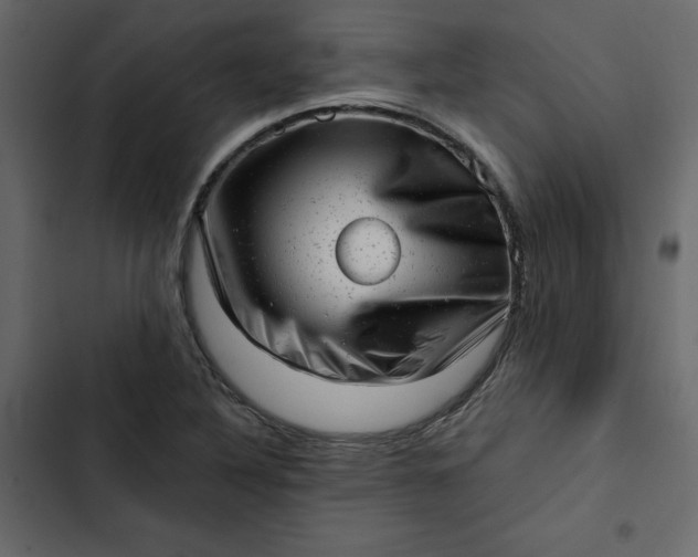 X0000102831316200809021304