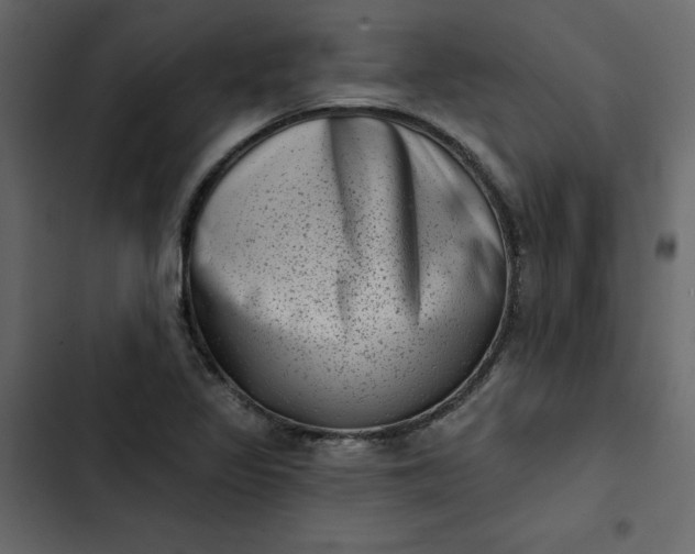 X0000102831317200809021304